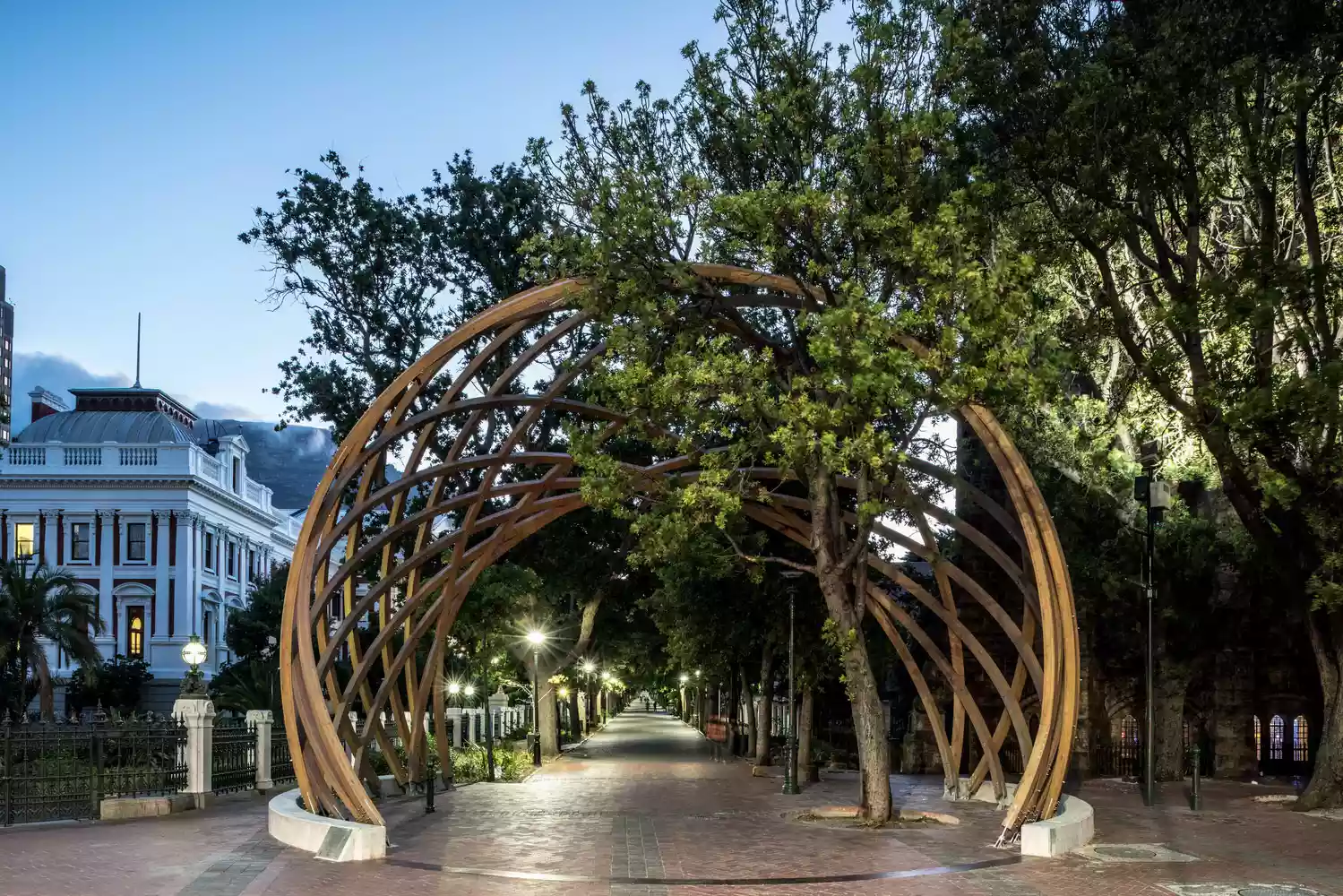 The shaded tree-lined public pathways of the Company's Gardens