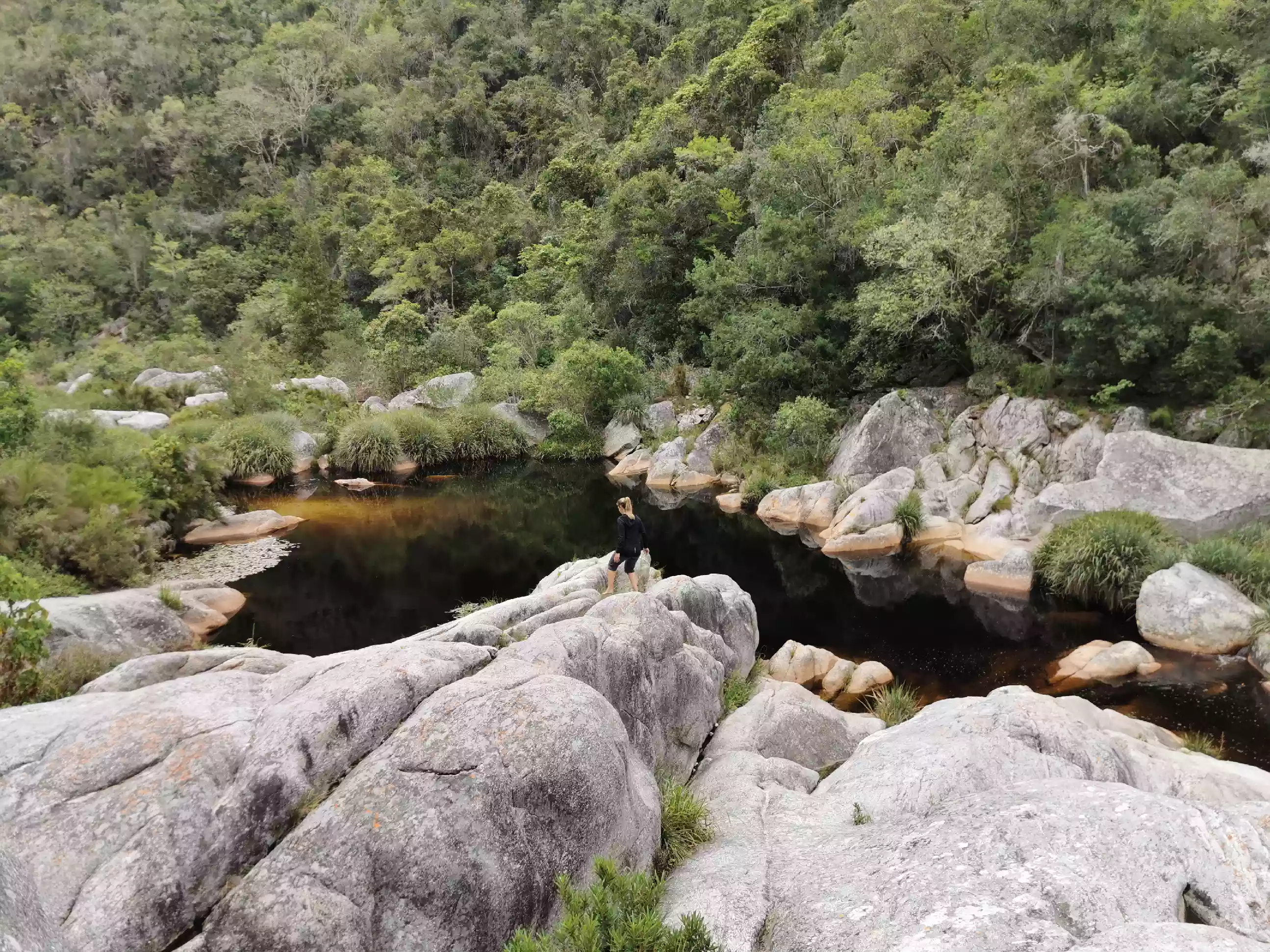 Storms River Rest Camp Canopy