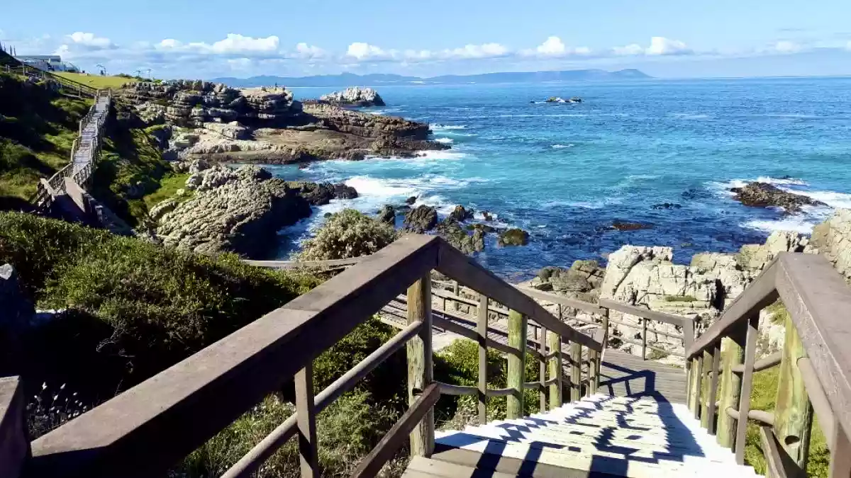Scenic sweeping overlook of the rugged Hermanus Cliff Paths and ocean coastline
