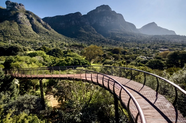 Kirstenbosch National Botanical Garden with Table Mountain backdrop