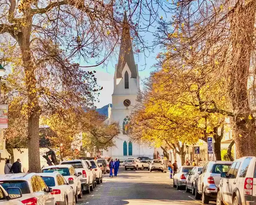 Historic Cape Dutch street in Stellenbosch lined with oak trees