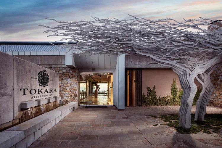 Modern tasting room architecture at Tokara Wine Estate