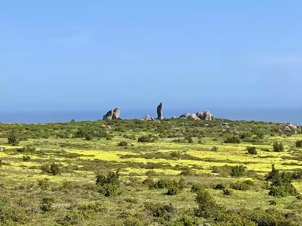 Tsaarbank outcrops