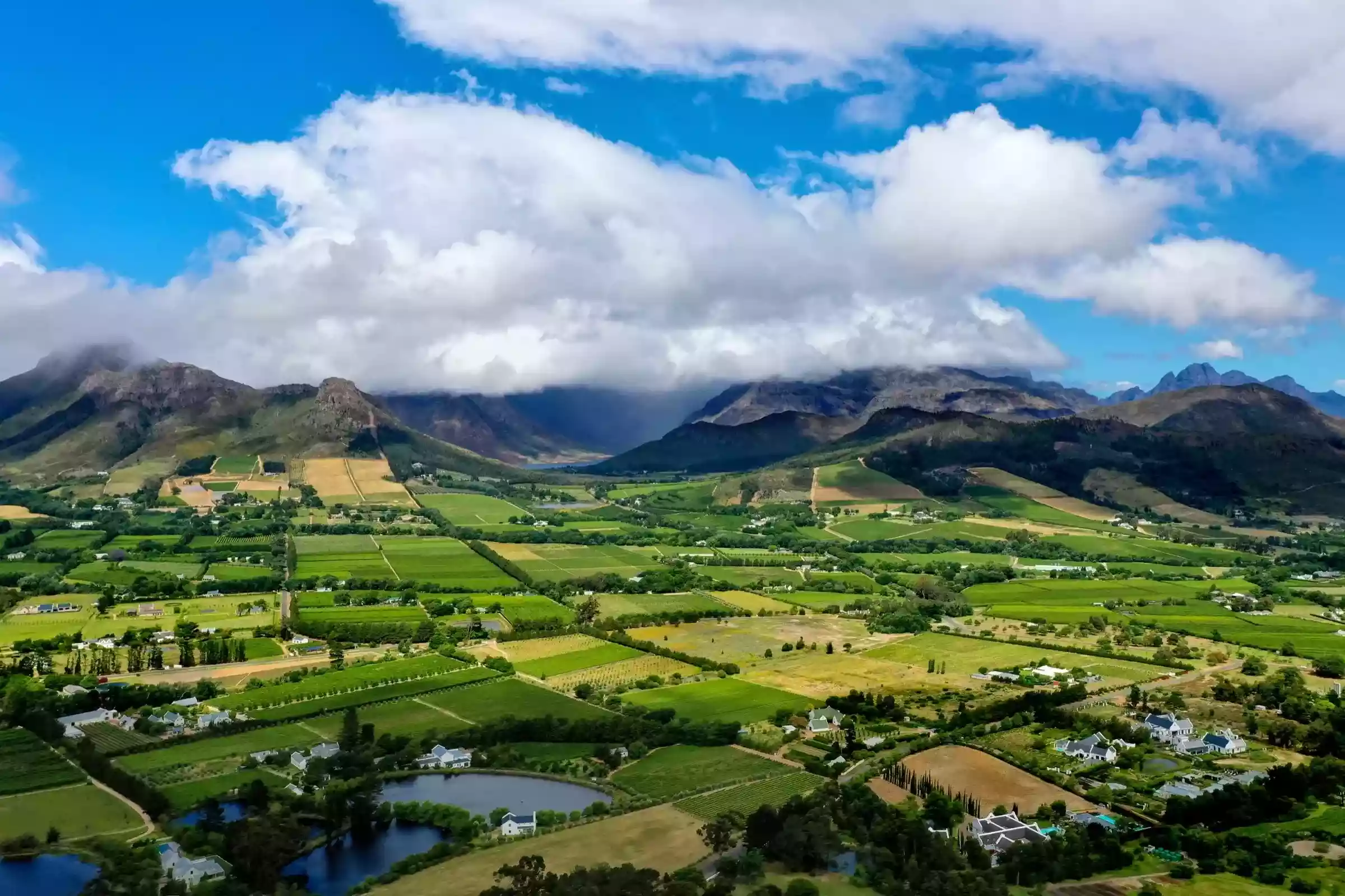 Expansive green vineyard valleys of Franschhoek