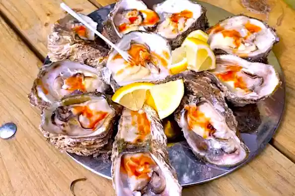 Fresh wild lagoon oysters displayed at a farmers market stall
